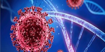 صورة أرشيفية لفيروس كورونا