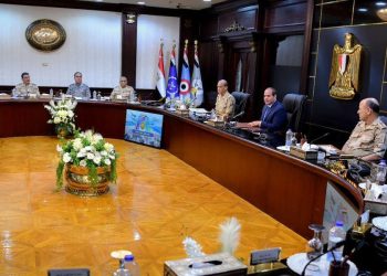 الرئيس السيسي