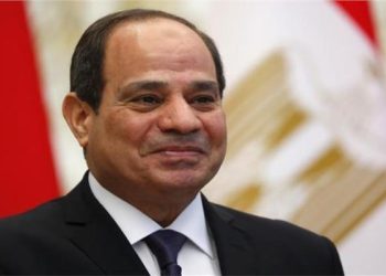 الرئيس عبد الفتاح السيسى