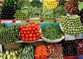 اسعار الخضروات