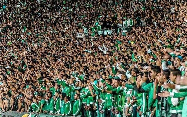 جماهير الرجاء المغربي