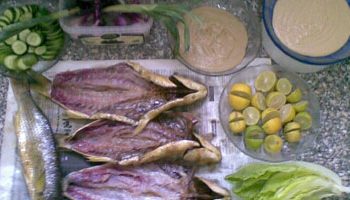 اسماك الفسيخ