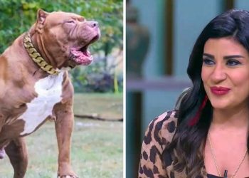بعد مكوثه في غيبوبة.. وفاة مدير بنك ضحية كلب البيتبول المملوك للمذيعة أميرة شنب