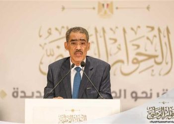 ضياء رشوان : هناك شبه إجماع لضرورة إجراء الانتخابات المحلية بأسرع وقت