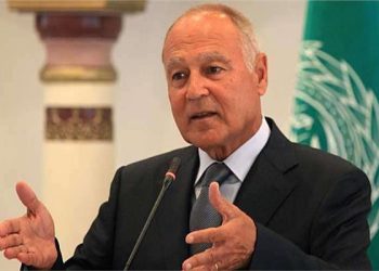 أبو الغيط يرحب بقرار حقوق الانسان بإدانة الدعوة للكراهية الدينية