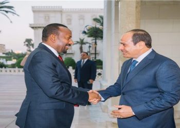 رئيس الوزراء الإثيوبي: المحادثات مع السيسي اتسمت بـ«روح التعاون»