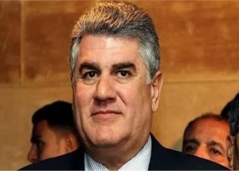 نجل عبد الناصر  : الشعب يعرف قيمة الجيش  اللي انقذه في 2013 بقيادة السيسي