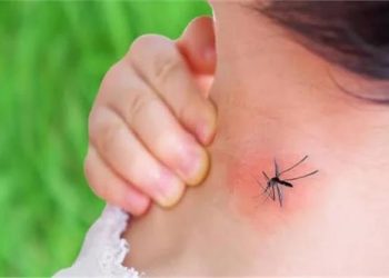 أستاذة علم الفيروسات والمناعة: حمى الضنك قد تسبب الوفاة
