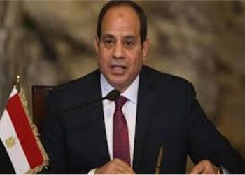 السيسي: اتطلع لاتفاق بشأن تصدير الحبوب للحد من ارتفاع الأسعار
