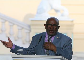  رئيس الاتحاد الأفريقي: فلاديمير بوتين وعد بتزويد دول أفريقية بالحبوب