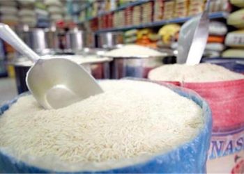 السعر من 18 إلى 20 جنيه للكيلو .. رئيس شعبة الأرز يكشف بشرة سارة للمواطنين