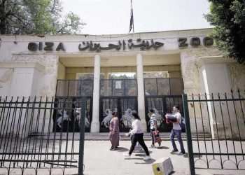 الزراعة : لن يكون هناك قطع للاشجار بحديقة الحيوان ولن نسرح العمال