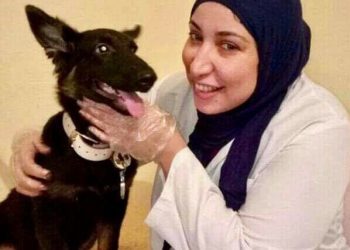 أدوية بشرية ممنوع استخدامها في الحيوانات الأليفة..سمر عبدالرحمن تكشف التفاصيل