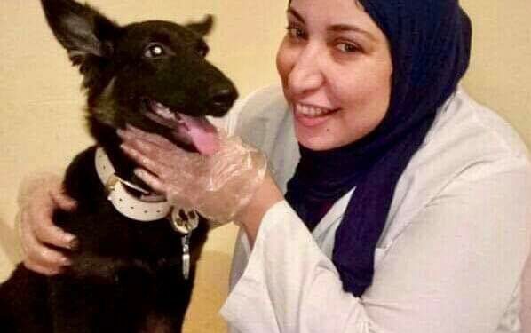 أدوية بشرية ممنوع استخدامها في الحيوانات الأليفة..سمر عبدالرحمن تكشف التفاصيل