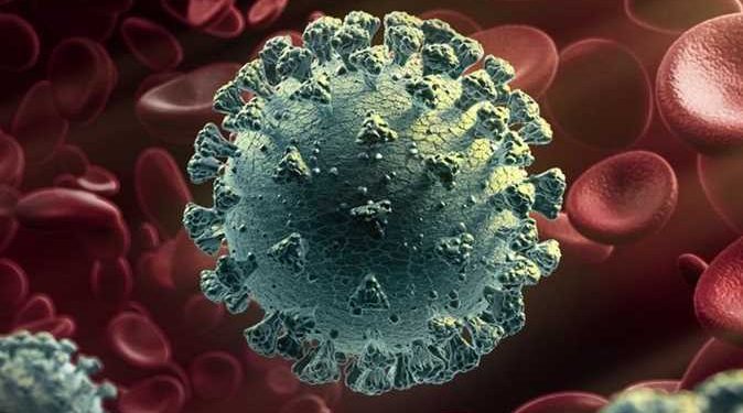 حقيقة انتشار متحور كورونا الجديد EG.5 في مصر .. وأبرز المعلومات عنه