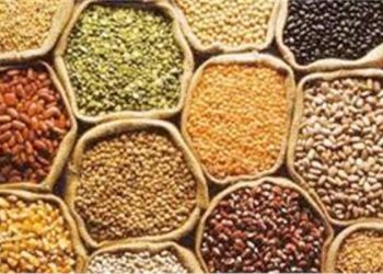 تعرف علي أسعار الحبوب والبقوليات في السوق المصرية