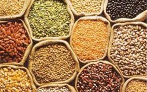 تعرف علي أسعار الحبوب والبقوليات في السوق المصرية