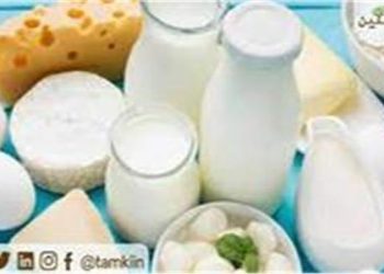 أسعار منتجات الألبان في السوق المصري  