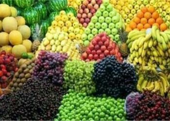 ننشر أسعار الفاكهة اليوم الخميس  24 اغسطس