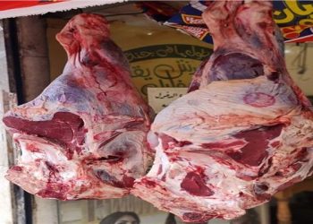 ننشر أسعار اللحوم البلدي اليوم الخميس  24 أغسطس