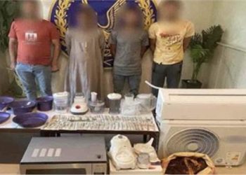 الاجهزة الامنية تضبط تشكيلات عصابية في السرقة بالقاهرة