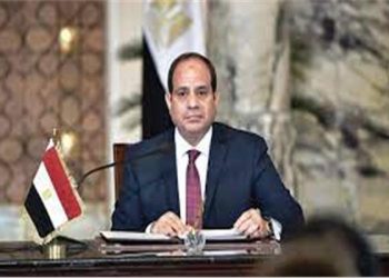 الرئيس السيسي: مصر تسير بشكل جيد للغاية.. وأدعو الجميع للاطمئنان