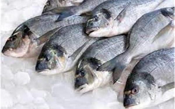 أسعار الأسماك بسوق العبور اليوم الاربعاء 30 أغسطس