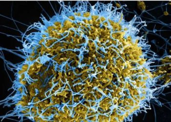 عودة  فيروس كورونا مجدد .. وفاه 2500 حالة فى شهر