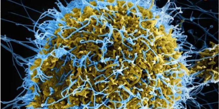 عودة  فيروس كورونا مجدد .. وفاه 2500 حالة فى شهر