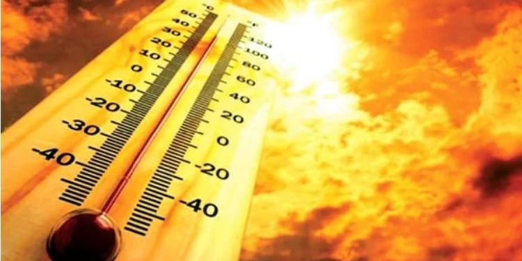 الارصاد : استقرار فى الأحوال الجوي.. وحالة الطقس طوال الأسبوع المقبل