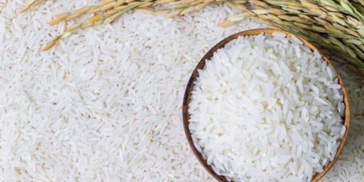 لدينا فائض .. مدير معهد المحاصيل الزراعية يتوقع انخفاض أسعار الأرز | فيديو