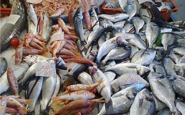تعرف علي أسعار الأسماك اليوم الاربعاء  6 سبتمبر بسوق العبور