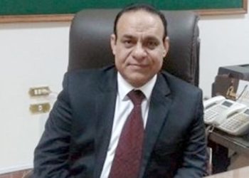 محمد الشوادفي: المنتدى القومي للاستثمار أساس لترويج المشروعات المصرية