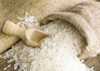 لدينا فائض .. مدير معهد المحاصيل الزراعية يتوقع انخفاض أسعار الأرز | فيديو