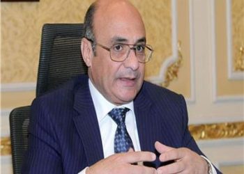 وزير العدل: انتخابات الرئاسة بإشراف قضائى كامل .. ونعمل للصالح العام | فيديو