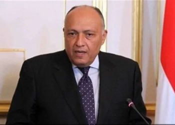وزير الخارجية: مصر تضطلع بتعزيز الأمن والاستقرار في محيطها الإقليمي