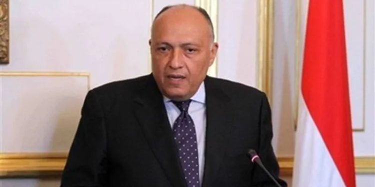 وزير الخارجية: مصر تضطلع بتعزيز الأمن والاستقرار في محيطها الإقليمي