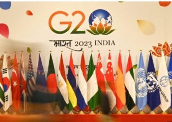 متحدث الرئاسة: الرئيس السيسي تحدث بصوت الدول النامية والإفريقية بـ قمة العشرين| فيديو