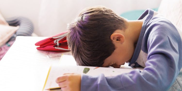 أزهري ينصح طلاب المدارس  بنوم قيلولة داخل الفصول |فيديو