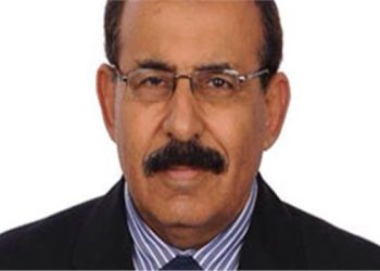 عفت أديب ” انخفاض أسعار السيارات يتعلق بالجمارك والدولار”