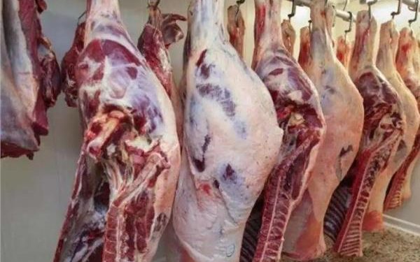 حالة استقرار .. أسعار اللحوم البلدي في الأسواق اليوم السبت 28 أكتوبر