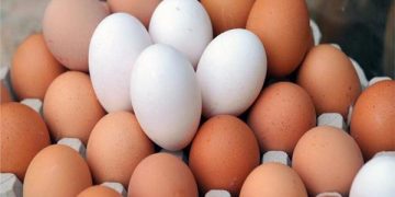 تعرف علي سعر طبق البيض اليوم الإثنين 30 أكتوبر 2023