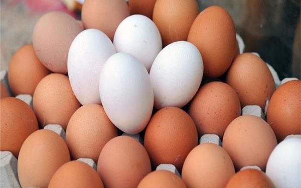 تعرف علي سعر طبق البيض اليوم الإثنين 30 أكتوبر 2023
