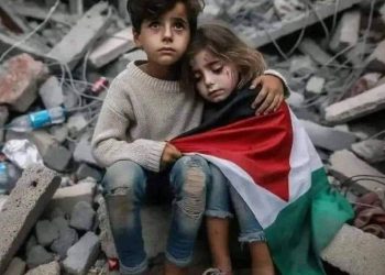 حازم إمام: المكسب من مباراة الجزائر عودة الثقة لـ منتخب مصر | فيديو