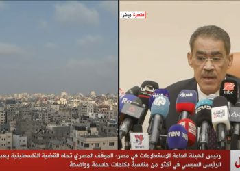 ضياء رشوان: مصر طالبت بوقف الإجراءات الأحادية التي تقوض فرص إقامة الدولة الفلسطينية وحل الدولتين