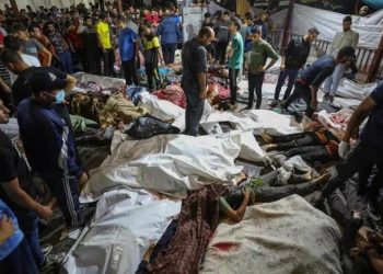 بعد مجزرة المعمداني.. الإمارات وروسيا تدعوان لاجتماع عاجل لمجلس الأمن