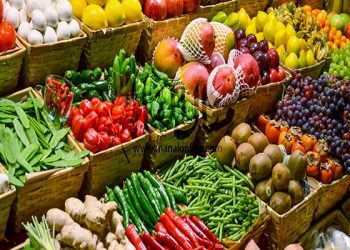  حالة استقرار .. أسعار الخضراوات اليوم  الجمعة 10 نوفمبر  2023 بسوق العبور