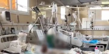 جريمة جديدة للاحتلال.. العثور على جثث أطفال مبتسرين متحللة بمستشفى النصر في غزة