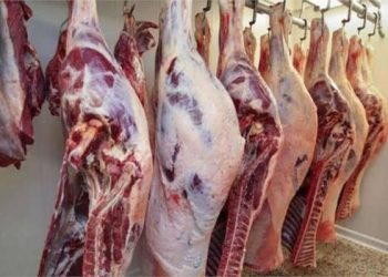 استقرار الأسعار .. تعرف علي سعار اللحوم البلدي بالسوق المحلي