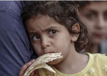 مجاعة وحرب وموت.. نقص الطعام يعمق جراح سكان غزة